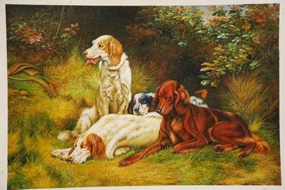 unknow artist Dogs 033 oil painting picture